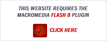 Download Macromedia Flash 8 Player
