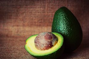 Секреты выращивания авокадо из косточки